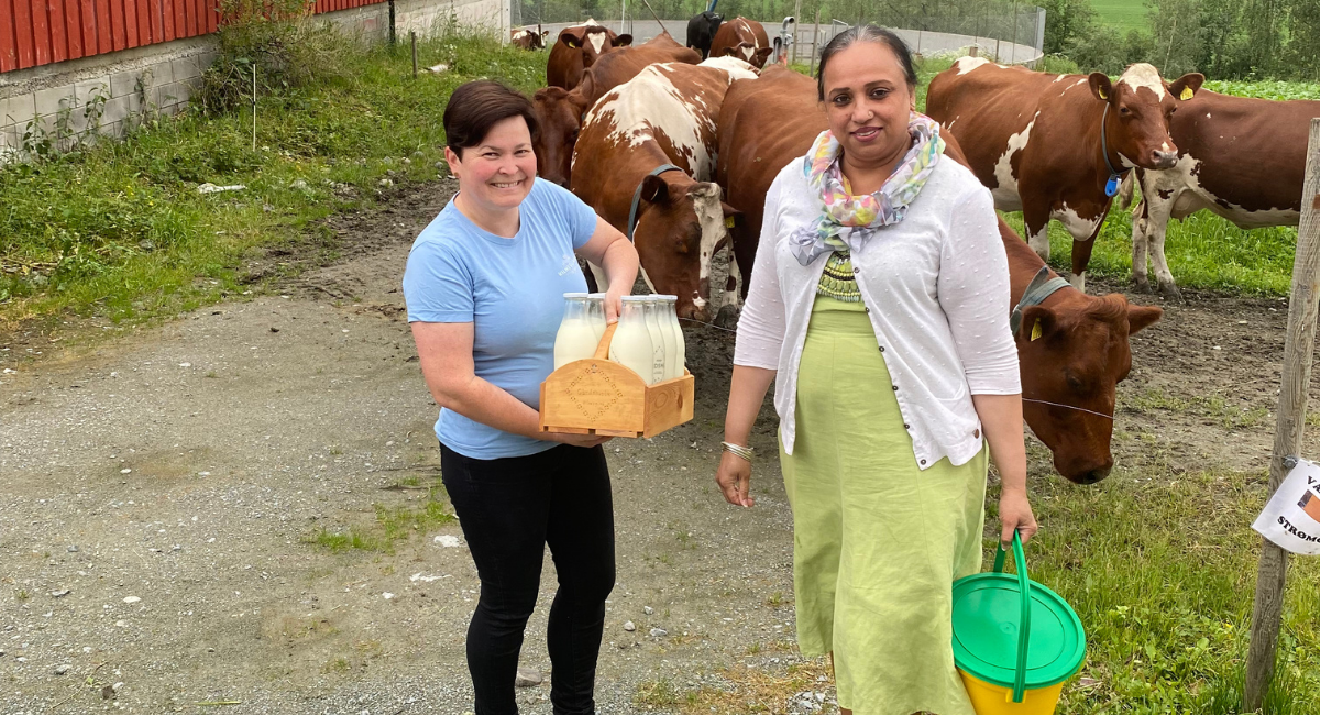 650 1200 True True 1 95 Fileshare Filarkivroot Nyheter 2021 Indian Tandoori Karoline Kilnes Gård Og Pukhraj Indian Tandoori På Gården Png