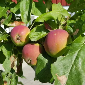 51364881373 Fd18f3d843 K