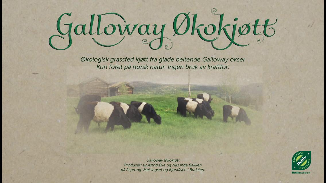 Galloway Økokjøtt