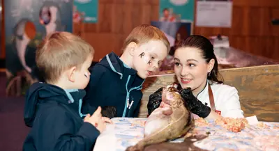 54418436185 Abff894199 C